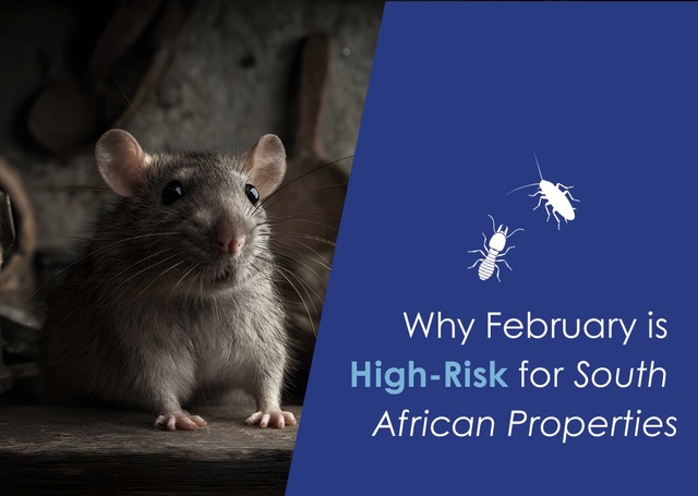 PEST STORE BLOGS 2026 Feb